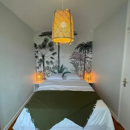 Apartment Hyper Centre : Ancien Renove / Confort